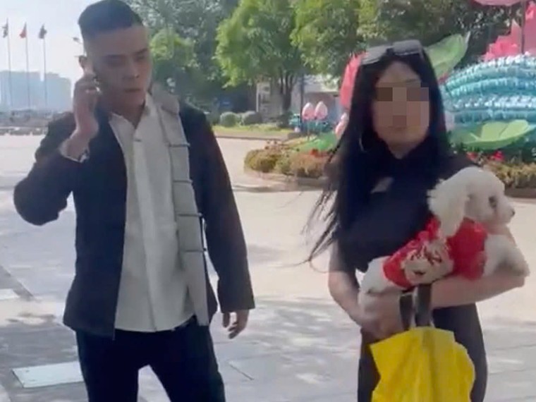 Vụ nam thanh niên đánh bảo vệ để bênh chó: Phòng vệ chính đáng hay hành vi côn đồ? ảnh 2