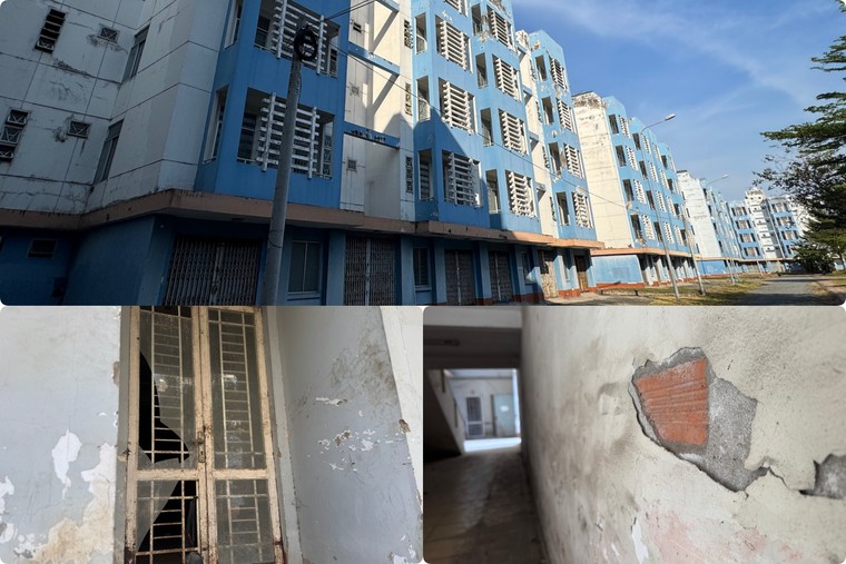 Những công trình lãng phí ở TP.HCM – Bài 5: Khu tái định cư nghìn tỷ hơn một thập kỷ hoang vắng ảnh 3