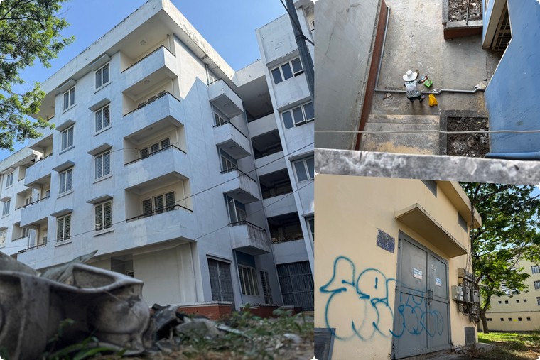 Những công trình lãng phí ở TP.HCM – Bài 5: Khu tái định cư nghìn tỷ hơn một thập kỷ hoang vắng ảnh 2