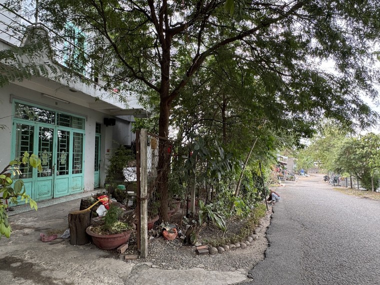 Những công trình lãng phí ở TP.HCM – Bài 6: Gần 20 năm dang dở “giấc mơ” hoá xanh kênh Ba Bò ảnh 3