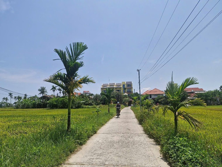 Xóm Mồ Côi - Cái nôi cách mạng phố Hội ảnh 1