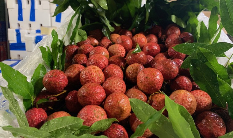 Chợ đầu mối thở dài...! ảnh 3