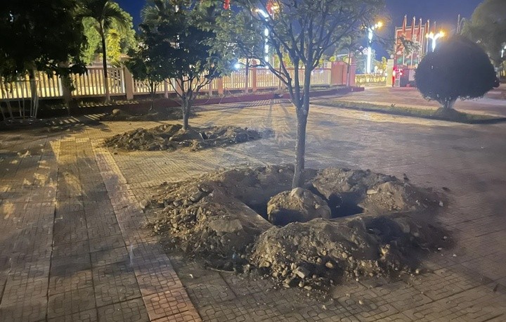 Huế: Hoàng mai tại UBND phường bị đào trước ngày bàn giao trụ sở ảnh 1