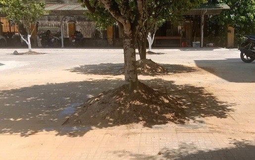 Huế: Hoàng mai tại UBND phường bị đào trước ngày bàn giao trụ sở ảnh 2