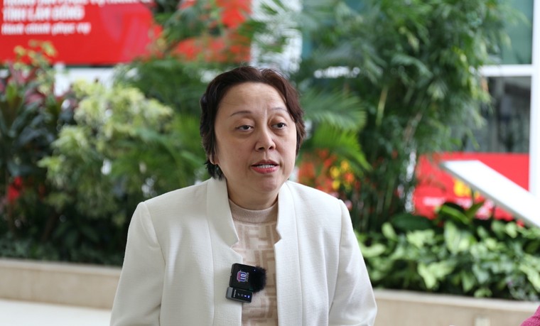 Kết nối nông sản Lâm Đồng – TP.HCM: “Xây thực phẩm sạch, chống thực phẩm bẩn” ảnh 4