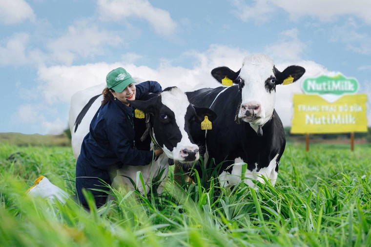 Nutifood tăng đầu tư thêm 6.000 tỷ đồng mở rộng trang trại và nhà máy tại Gia Lai ảnh 3