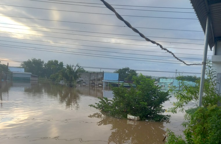 Lâm Đồng: Hồ Sông Quao xả lũ, người dân yêu cầu bồi thường thiệt hại vì ngập lụt ảnh 3