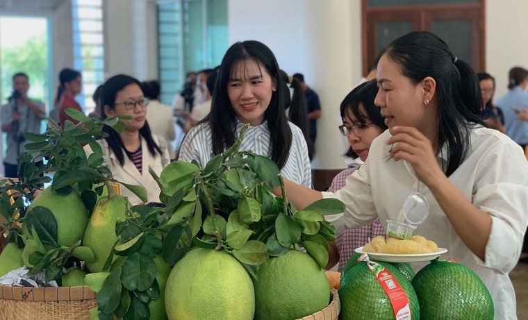 Giám đốc Sở ATTP TP.HCM: Không đánh giá an toàn thực phẩm bằng khẩu hiệu hay lời khen ảnh 2