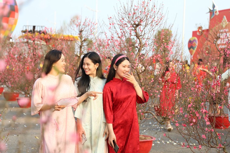 Vinhomes Green Paradise đưa cây mai cổ 150 tuổi về Lễ hội Xuân Cần Giờ ảnh 9