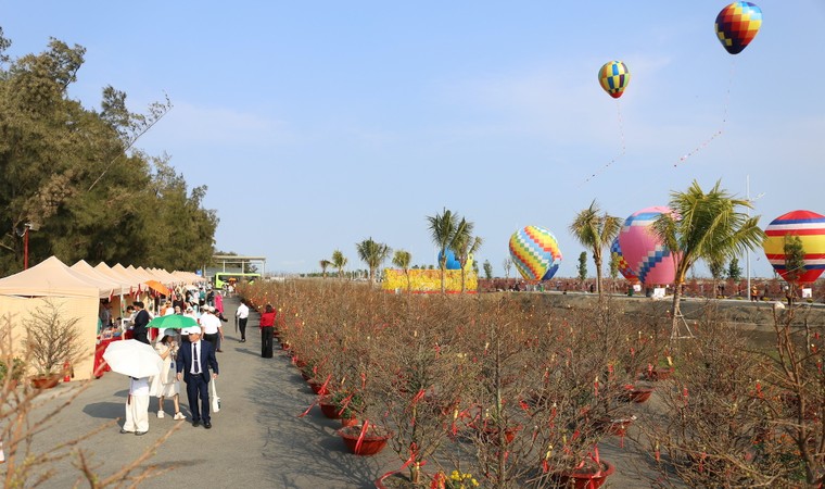 Vinhomes Green Paradise đưa cây mai cổ 150 tuổi về Lễ hội Xuân Cần Giờ ảnh 2