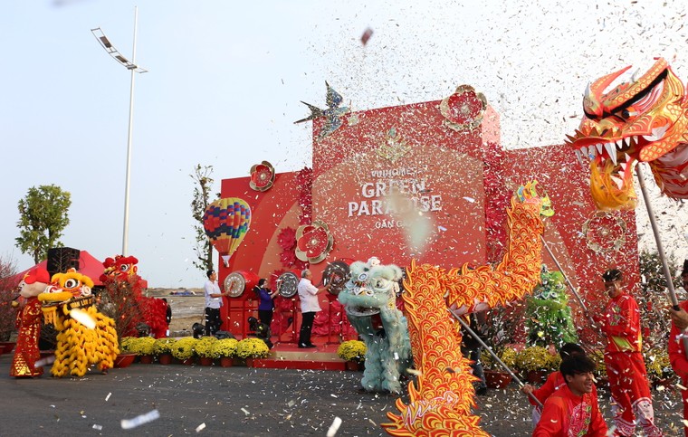 Vinhomes Green Paradise đưa cây mai cổ 150 tuổi về Lễ hội Xuân Cần Giờ ảnh 1