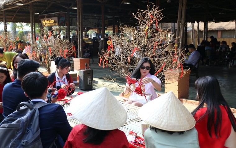 Vinhomes Green Paradise đưa cây mai cổ 150 tuổi về Lễ hội Xuân Cần Giờ ảnh 8