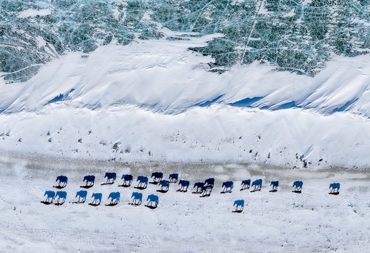 Thiên nhiên kỳ ảo trong “Bardo - Trung Giới” của Hoàng Lê Giang ảnh 1