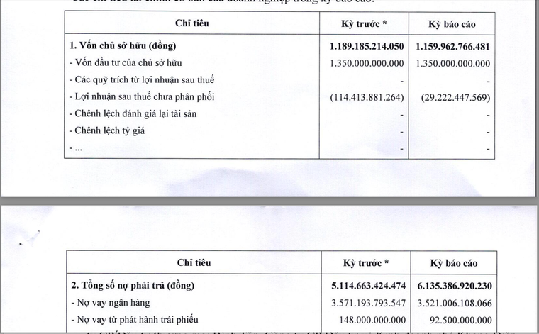 Chủ đầu tư dự án Dragon Eden: Một đồng vốn gánh năm đồng nợ ảnh 1