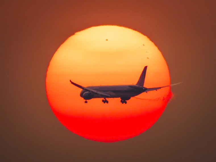 Đội nắng săn “trứng muối” rực rỡ ở Sài Gòn ảnh 1