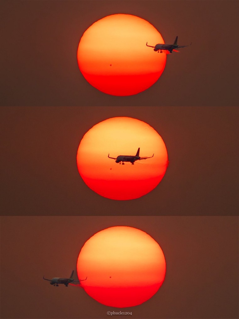 Đội nắng săn “trứng muối” rực rỡ ở Sài Gòn ảnh 4