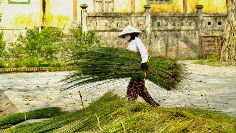 Hơn 500 năm dệt cỏ thành ‘tiền’ ảnh 2