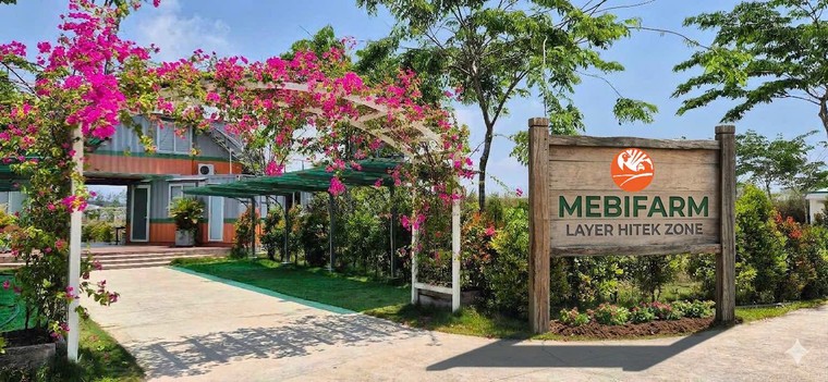 Pinky Egg chính thức lên kệ Bách Hóa Xanh ảnh 3