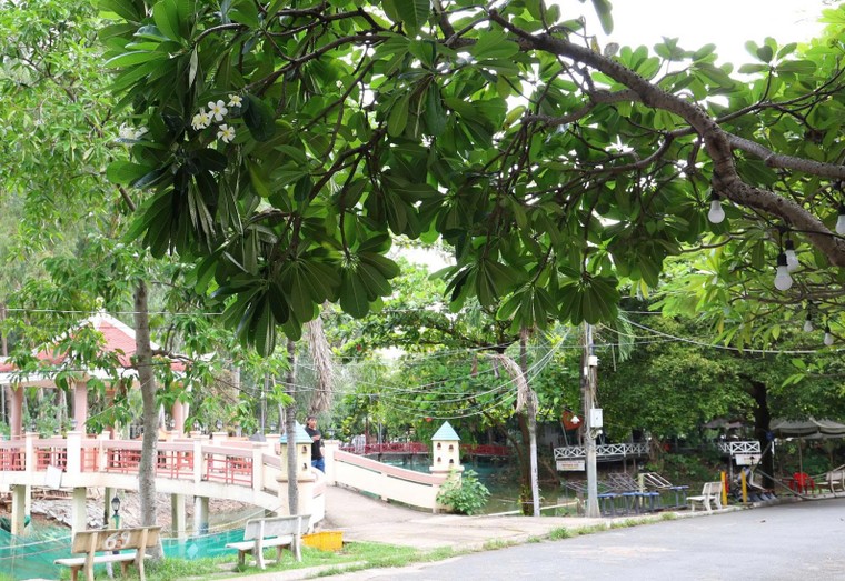 Khoảng 900 hài cốt liệt sĩ được chôn tập thể tại Công viên Lê Thị Riêng ảnh 2