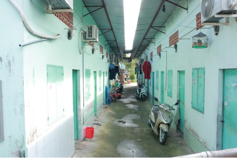 TP.HCM: Nhu cầu cấp thiết và bài toán đột phá cho loại hình nhà ở cho thuê ảnh 2