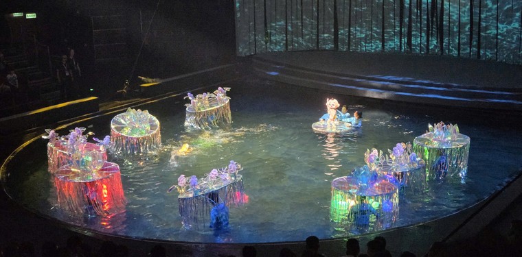 TPHCM: khoảng 150 nghệ sĩ đa loại hình diễn vở xiếc - rối “Mơ show” ảnh 3
