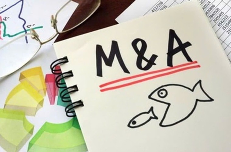 Phát Đạt "ôm" Thủ Thiêm: Siêu M&A hay game gọi vốn sinh tồn? ảnh 3