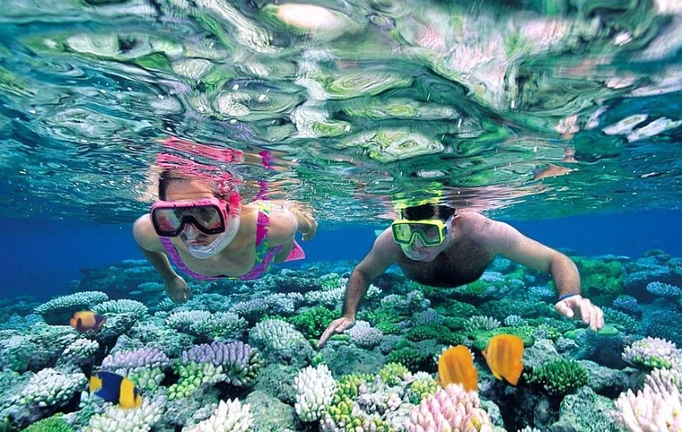 Thiên nhiên ở Vườn quốc gia Côn Đảo lên sóng truyền hình trực tiếp ảnh 1