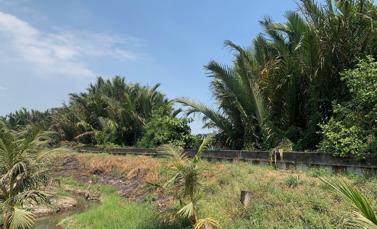 Bình Quới - Thanh Đa trước ngày giải toả - Bài 2: Đảm bảo quyền lợi chính đáng của người có đất bị thu hồi ảnh 2