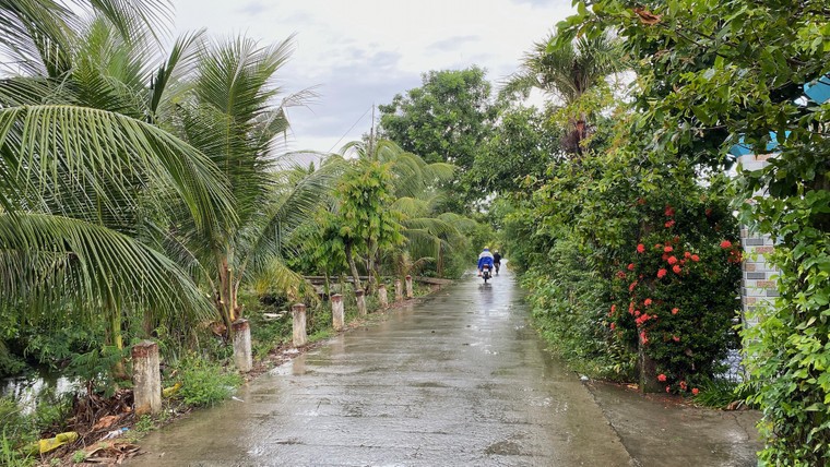 TP.HCM - Nỗi lòng vùng quy hoạch 1.500 ha ảnh 3