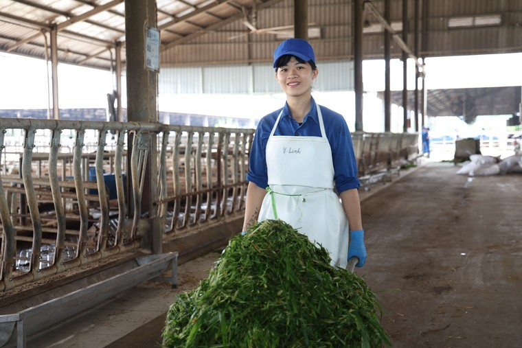 Chuyện cô gái 9x học thú y để về quê: Gắn bó với Sữa Tươi Kun và tổ ấm bình yên trên mảnh đất quê hương ảnh 3