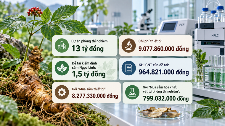Hệ thống kiểm định sâm Ngọc Linh: Đầu tư 13 tỷ đồng, thêm đề tài 1,5 tỷ vẫn… chưa đạt chuẩn! ảnh 1