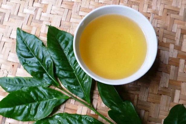 Nghĩa tình chè xanh ảnh 1