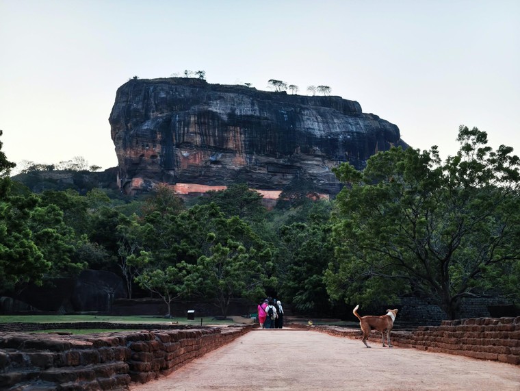 Bình minh đẹp nghẹt thở trên đỉnh Sư tử đá Sri Lanka ảnh 4