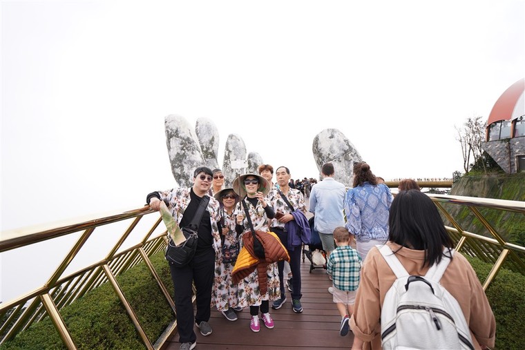 Du khách ngất ngây với “vạn sắc hoa xuân” bung nở trên đỉnh Bà Nà ảnh 1