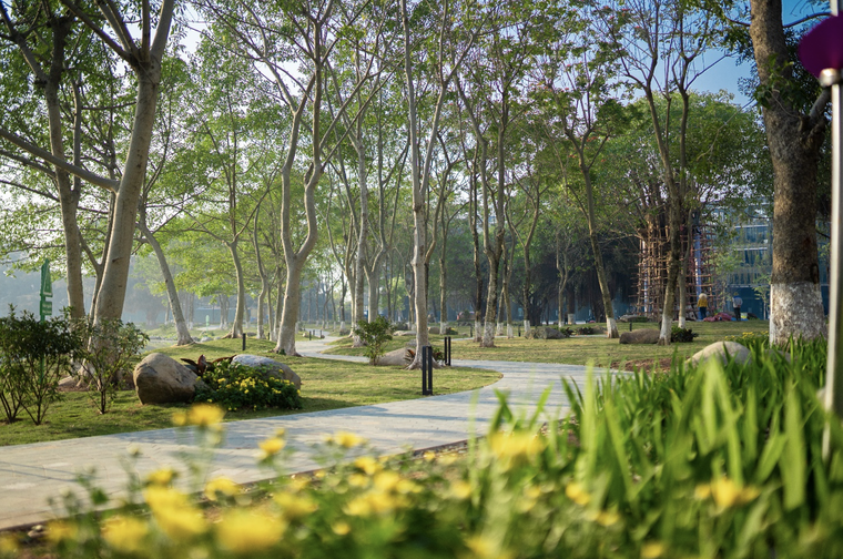 Ecopark đưa vào hoạt động cung đường dạo bộ đẹp nhất miền Bắc ảnh 1