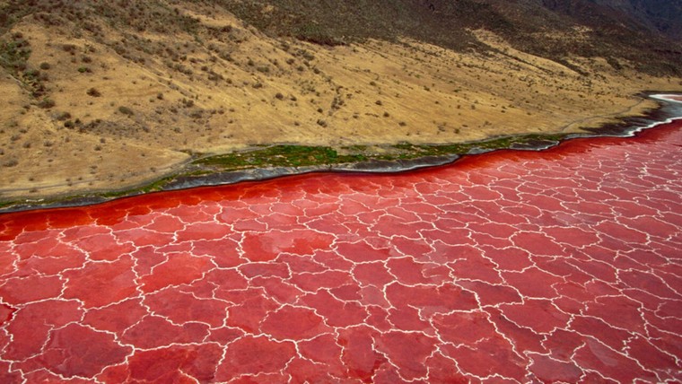 Hồ có sắc đỏ hồng do đâu?