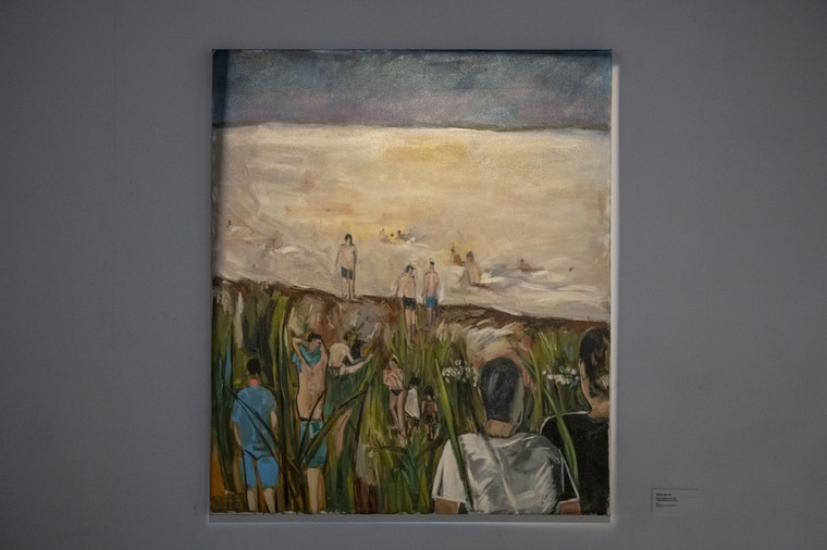 VCCA giới thiệu triển lãm "Những người làm vườn" tại Hà Nội ảnh 2