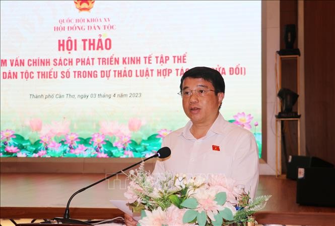 Tham vấn chính sách phát triển kinh tế tập thể đối với đồng bào dân tộc thiểu số ảnh 1