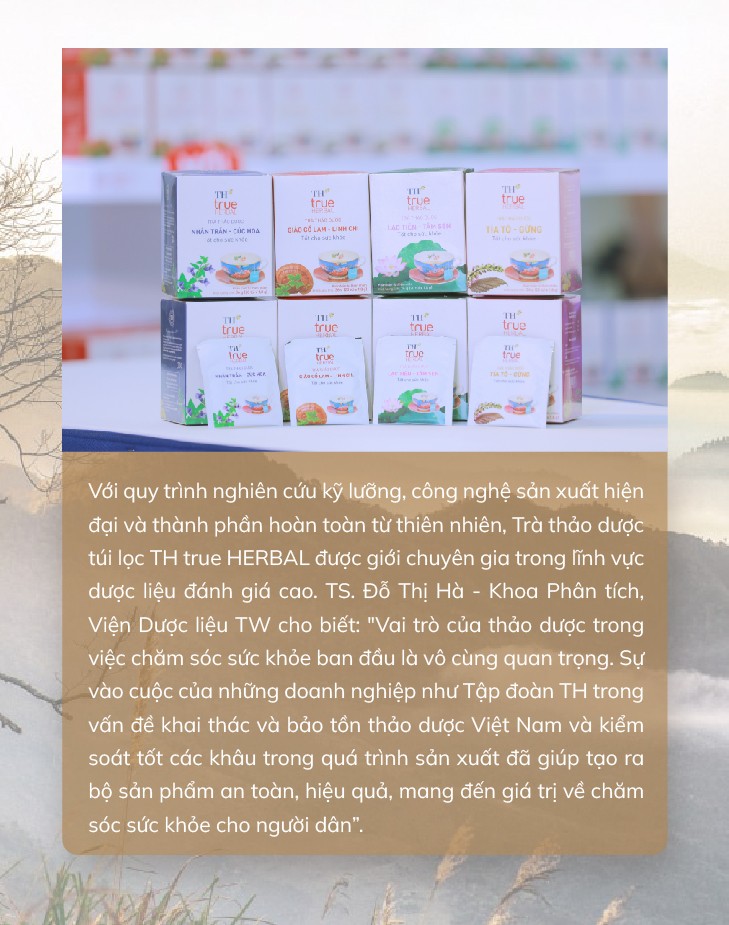 Trà túi lọc TH true HERBAL - chắt lọc và lan tỏa tinh hoa thảo dược Việt ra thế giới ảnh 3