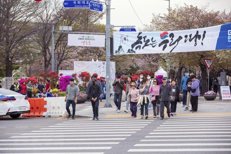 Chùm ảnh: Khai mạc lễ hội hoa Anh đào thường niên lớn nhất ở Seoul ảnh 1