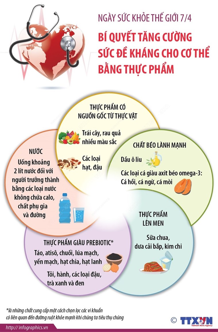 [Infographics] Bí quyết tăng sức đề kháng cho cơ thể bằng thực phẩm ảnh 1