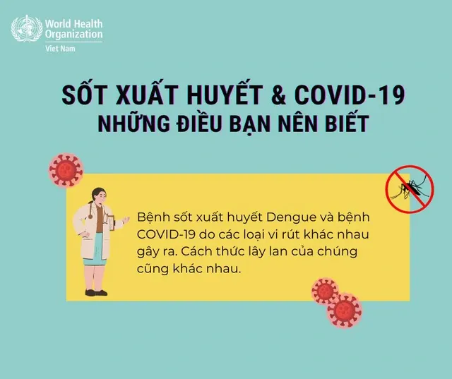 Cách phân biệt sốt xuất huyết và COVID-19 ảnh 1