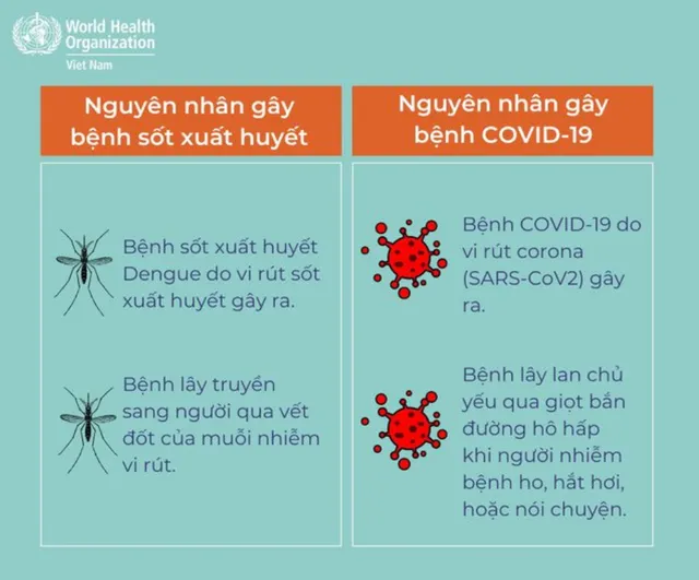 Cách phân biệt sốt xuất huyết và COVID-19 ảnh 2