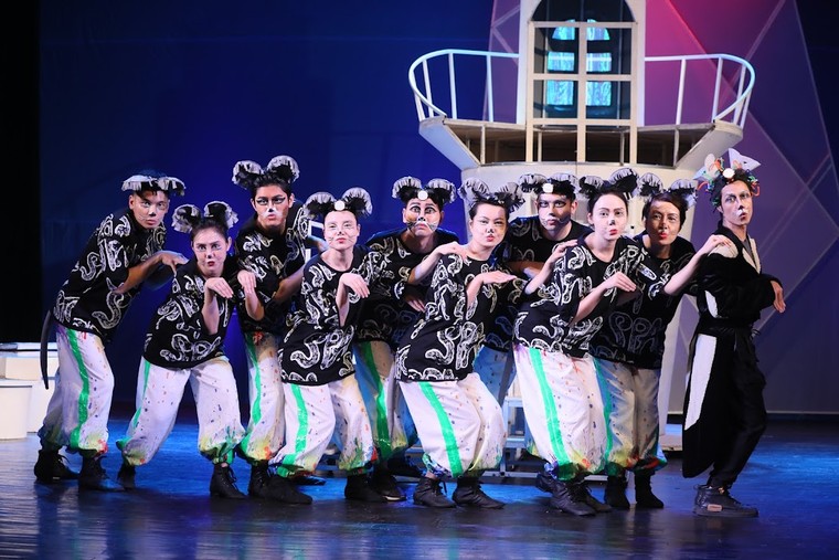 Giá trị nhân văn từ vở kịch 'Chú mèo dạy hải âu bay' ảnh 2