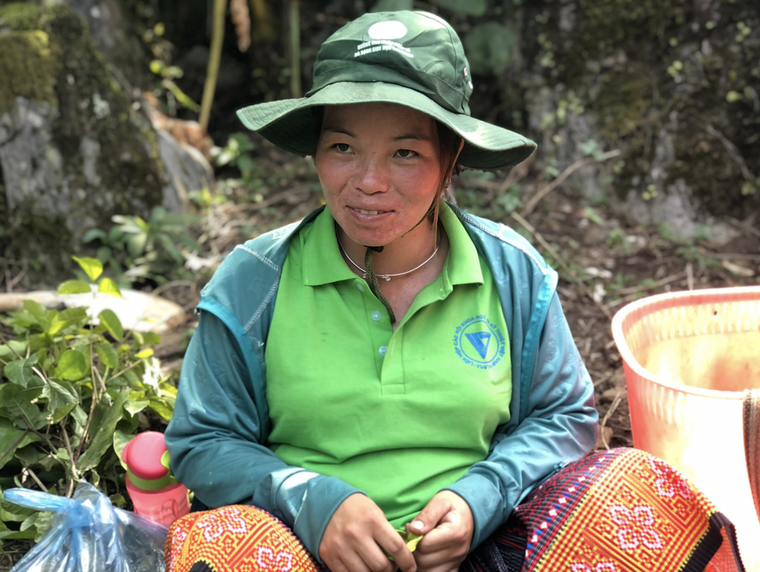 Tập đoàn TH giúp bà con Sơn La 'vá rừng' ảnh 3