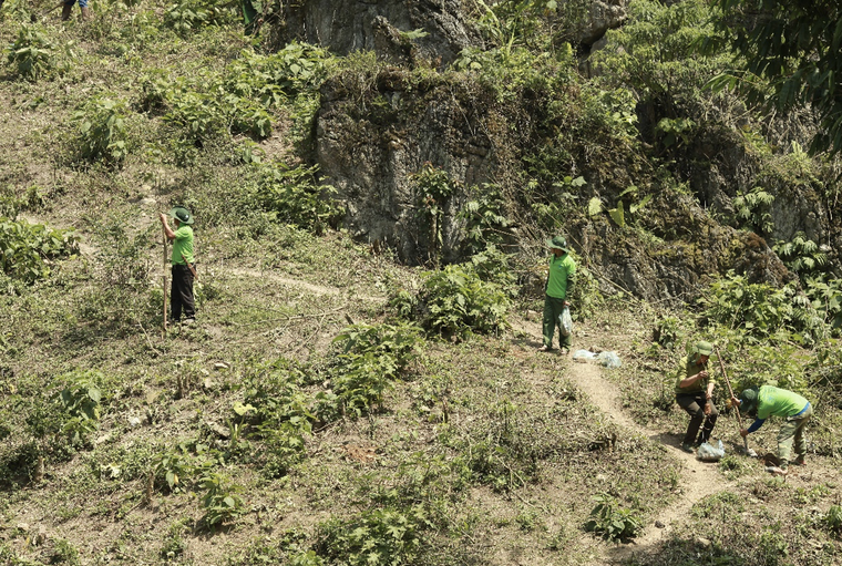 Tập đoàn TH giúp bà con Sơn La 'vá rừng' ảnh 4