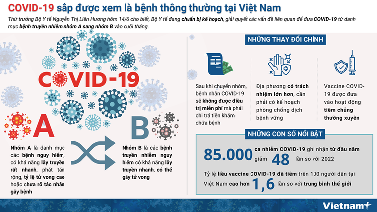 [Infographics] COVID-19 sắp được xem là bệnh thông thường tại Việt Nam ảnh 1