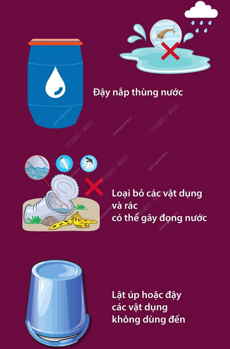 Biện pháp phòng tránh hiệu quả sốt xuất huyết ảnh 2