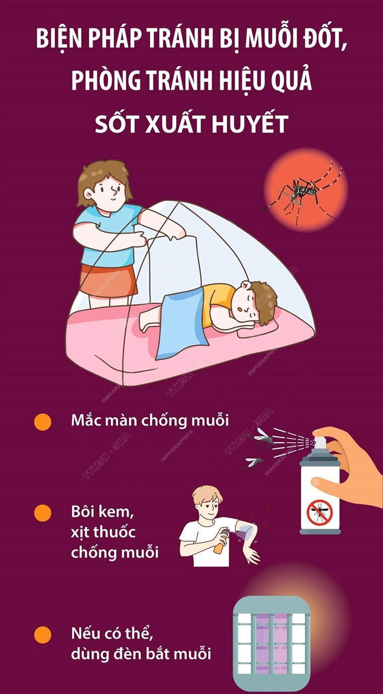 Biện pháp phòng tránh hiệu quả sốt xuất huyết ảnh 1