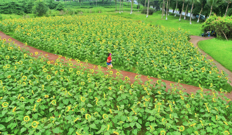 “Thiên đường” của người yêu thể thao trong đô thị xanh lớn nhất miền Bắc ảnh 5